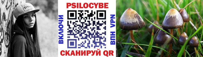 Псилоцибиновые грибы прущие грибы  Купить закладки  Серпухов 